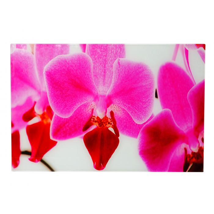 Glasbild T116, Wandbild Poster Motiv, 40x60cm ~ Orchidee