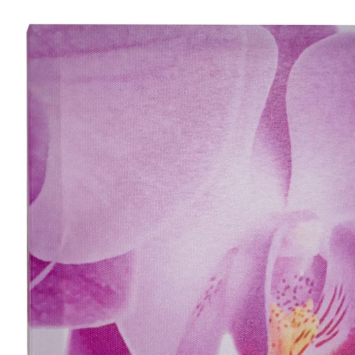 Leinwandbild T375 XL, Wandbild Keilrahmenbild Kunstdruck, 7-teilig 245x87cm ~ Blumen