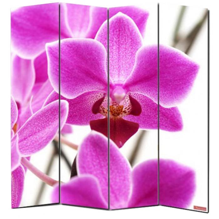 Foto-Paravent Paravent Raumteiler Trennwand M68 ~ 180x160cm, Orchidee