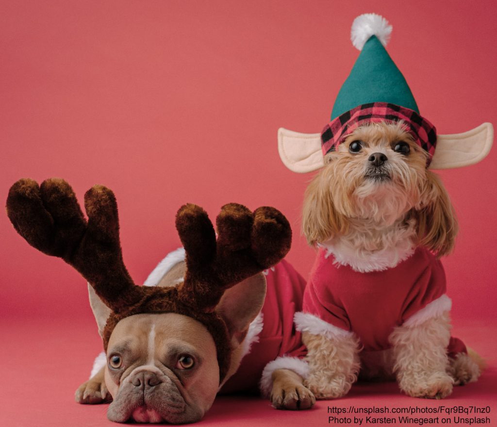 Hunde mit Weihnachtsdeko