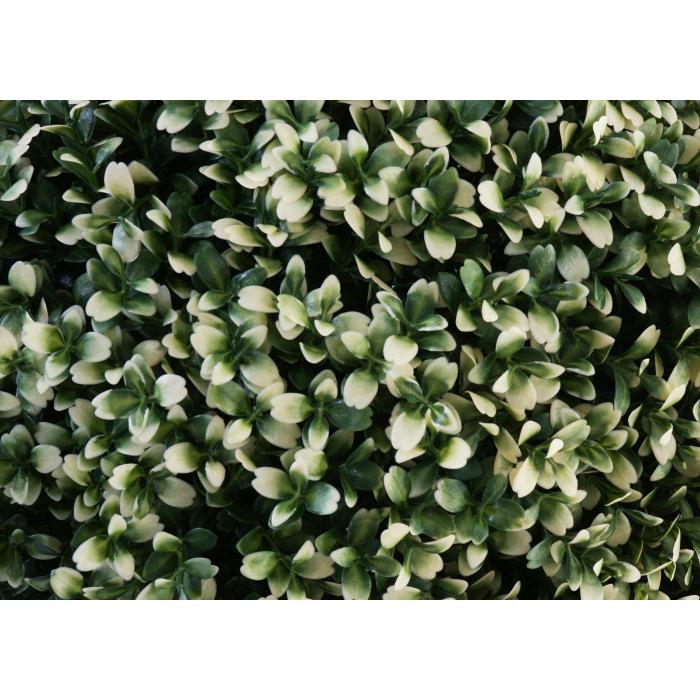 Knstlicher Busch HWC-L77, Buchskugel Dekopflanze Buchsbaumkugel Kunstpflanze Buxus, Outdoor  55cm ~ wei