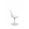 Stuhl HLO-CP27 W Kunststoff ~ wei