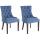 2er Set Esszimmerstuhl HLO-CP24 Stoff antik ~ blau