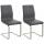 2er Set Esszimmersthle HLO-CP2 ~ grau