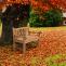 Teakbank HLO-CP3 120 cm mit Abdeckhaube ~ teak