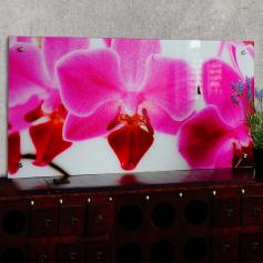Glasbild T115, Wandbild Poster Motiv, 50x100cm ~ Orchidee