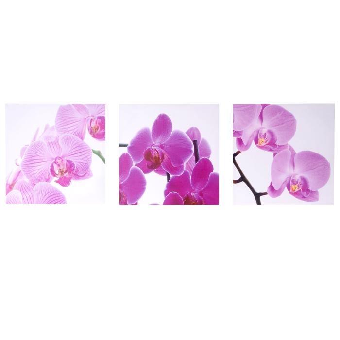 Leinwandbild T376, Wandbild Keilrahmenbild Kunstdruck, 3-teilig 150x50cm ~ Orchidee