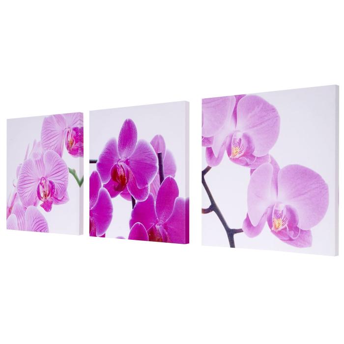 Leinwandbild T376, Wandbild Keilrahmenbild Kunstdruck, 3-teilig 150x50cm ~ Orchidee