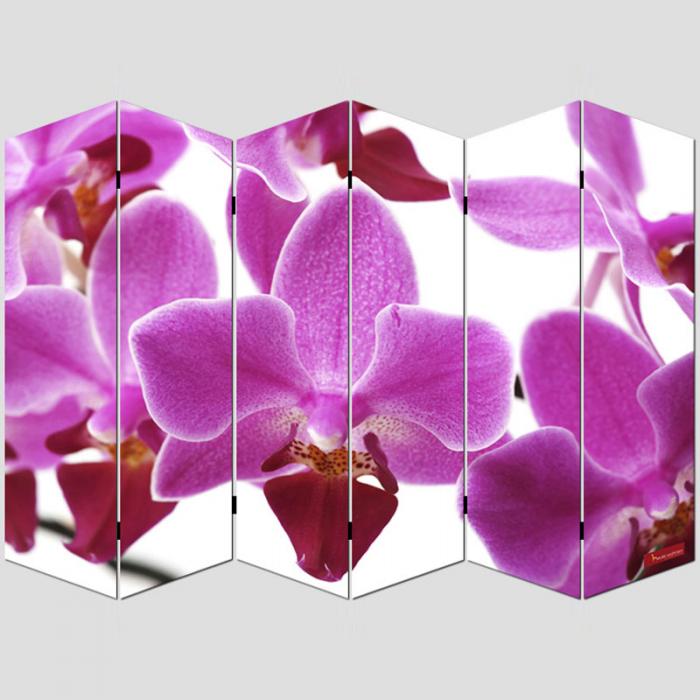 Foto-Paravent Paravent Raumteiler Trennwand M68 ~ 180x240cm, Orchidee
