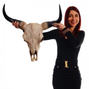 Deko Schdel 64cm, Polyresin Stier Bulle Longhorn Kopf Trophe, In-/Outdoor ~ natur