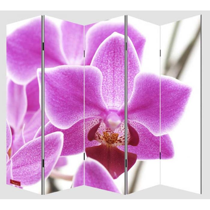 Foto-Paravent Paravent Raumteiler Trennwand M68 ~ 180x200cm, Orchidee