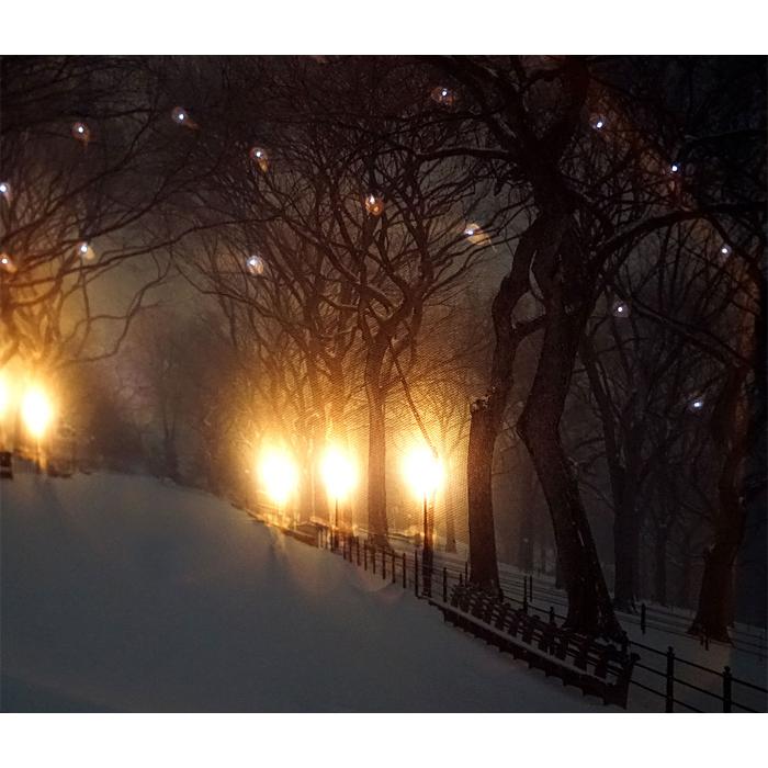 2er-Set LED-Bild Leinwandbild Leuchtbild Wandbild 40x60cm, Timer ~ Winter + flackernd