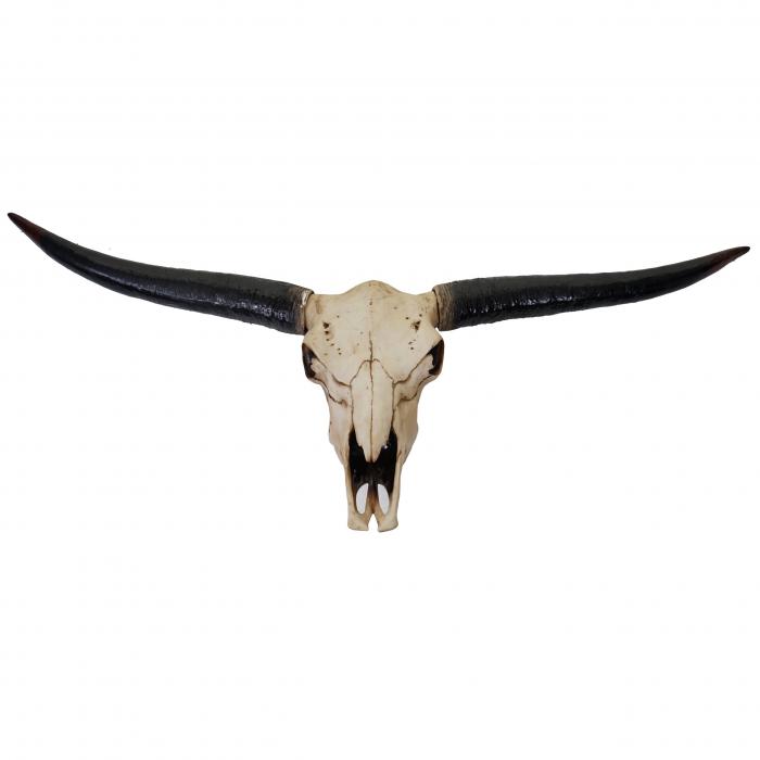 Deko Schdel 132cm HWC-A14, Polyresin Stier Bulle Longhorn Kopf Trophe, In-/Outdoor ~ naturfarben