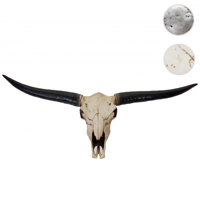 Deko Schdel 132cm HWC-A14, Polyresin Stier Bulle Longhorn Kopf Trophe, In-/Outdoor ~ naturfarben