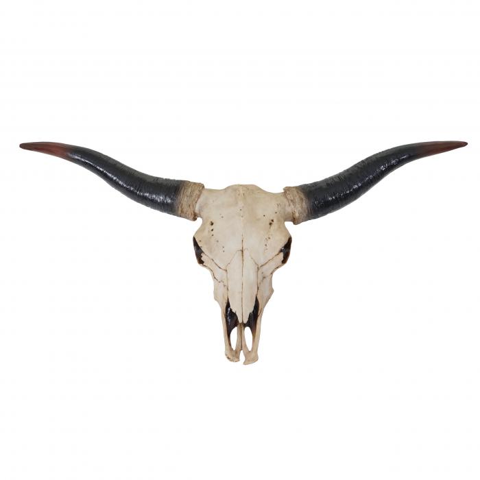 Deko Schdel 75cm HWC-A14, Polyresin Stier Bulle Longhorn Kopf Trophe, In-/Outdoor natur