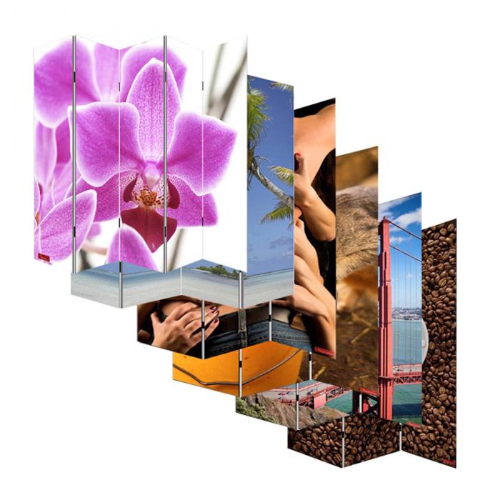 Foto-Paravent Paravent Raumteiler Trennwand M68 ~ 180x200cm, Orchidee
