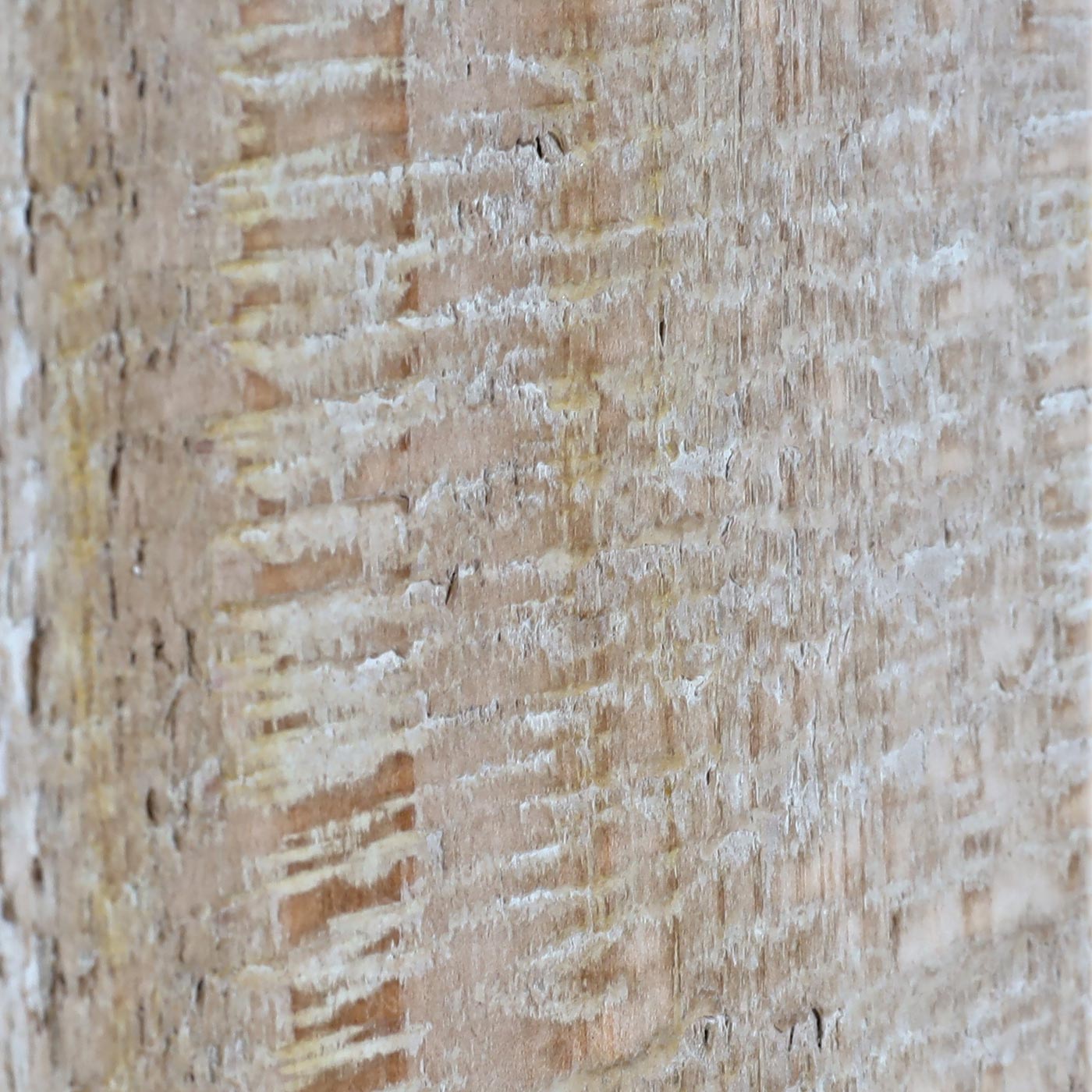 HWC-L76 Detailbild Holz