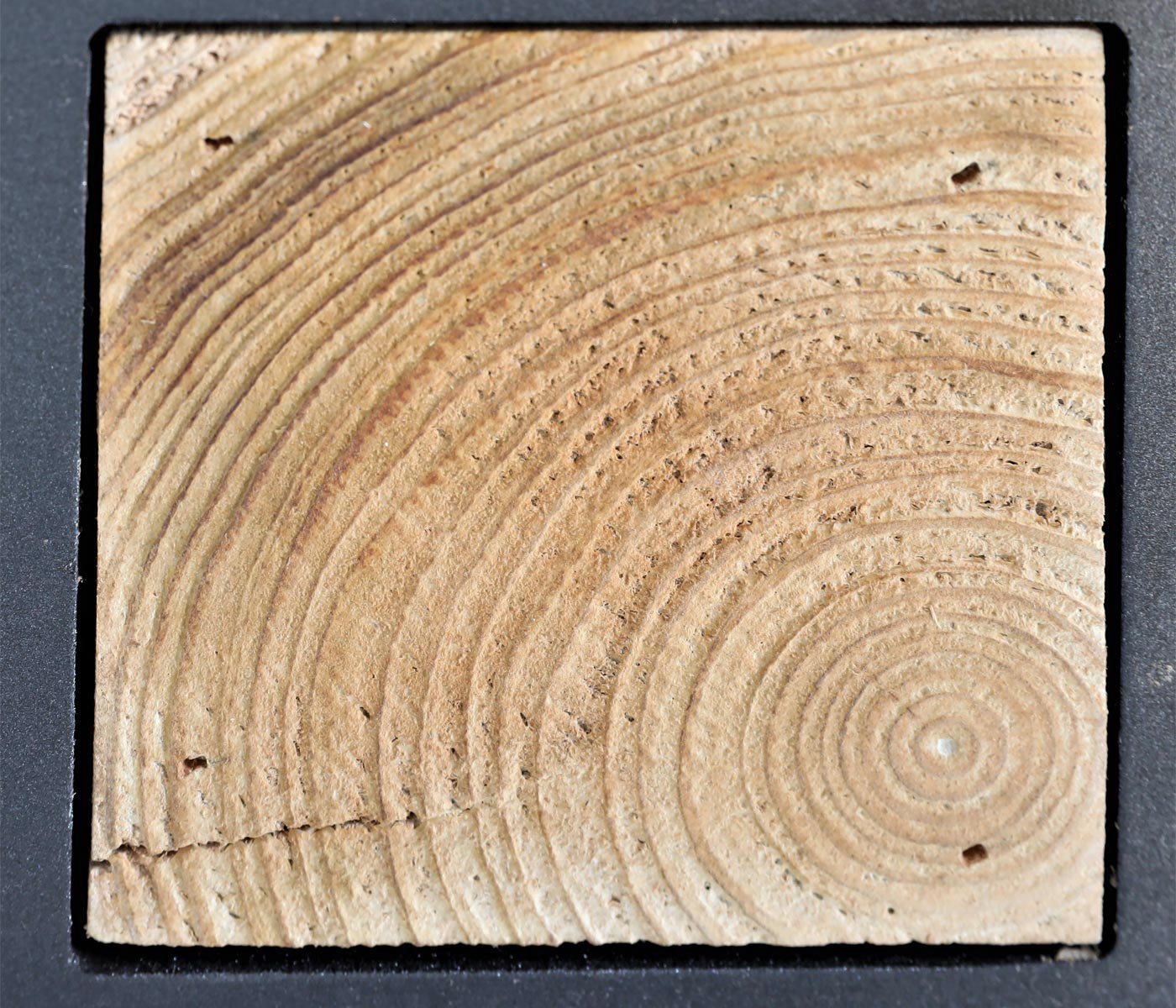 Sideboard HWC-L76 Detailansicht Holz