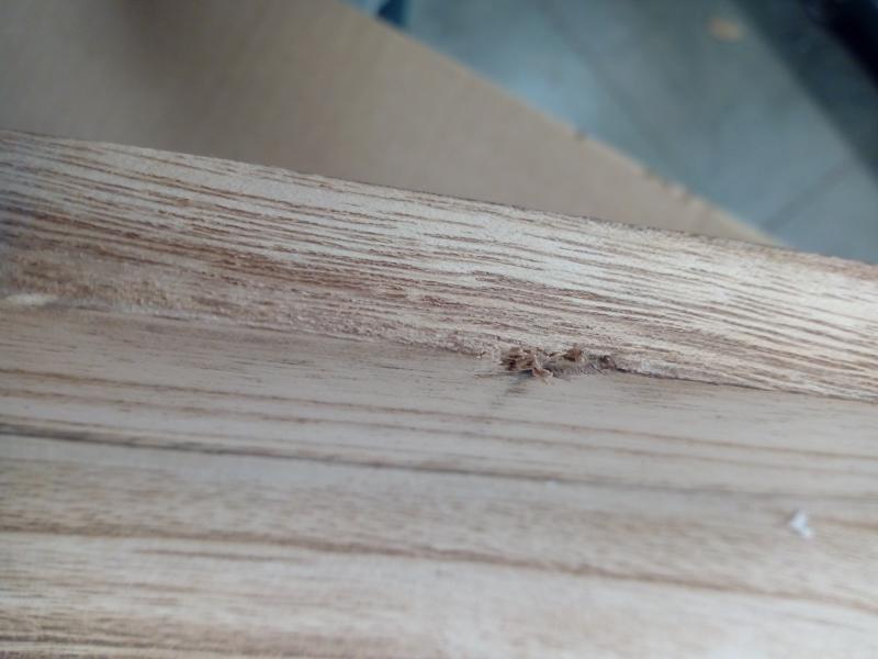 Sessel HWC-K52, Ambiente